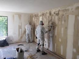 Best Mold Odor Removal Services  in Austintown, OH